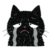 013