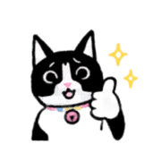 004