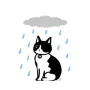 022