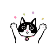 029