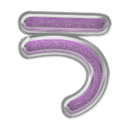 003