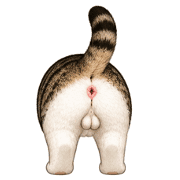 019