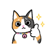 005