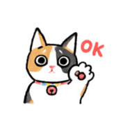 006