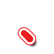 256