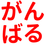 031