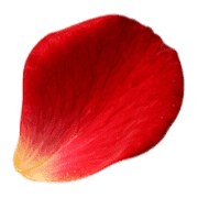 013