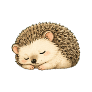 003