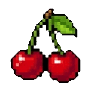 010