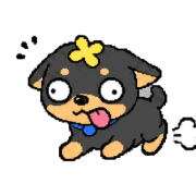 003