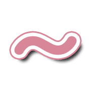 224