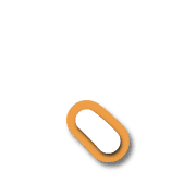 256