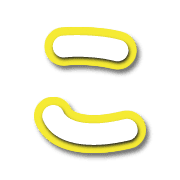 010