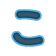 010