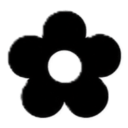 019