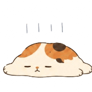 013