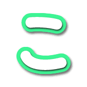 010