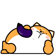 023