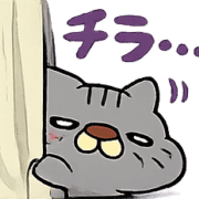 037