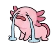 031