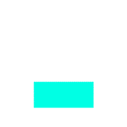 250