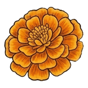 008