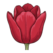 009