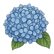 013
