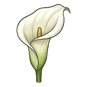 023