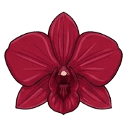 033