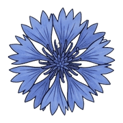 035