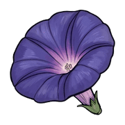 037