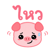 005