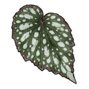 011