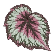 013