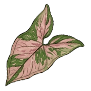 028