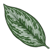 031