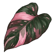 034