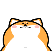 007