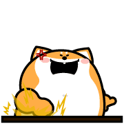 019