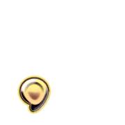 245