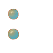 244
