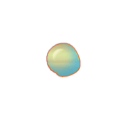 253