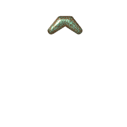 231