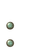 244