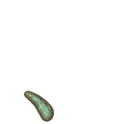 256