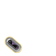 256