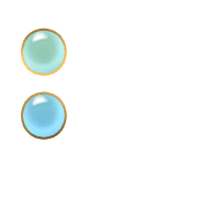 244