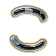 010