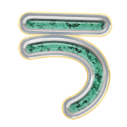003